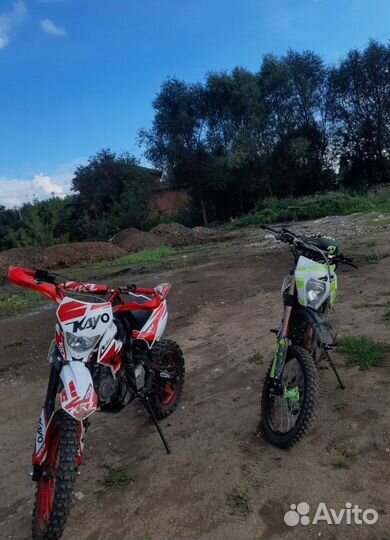 Питбайк motolend apex 125