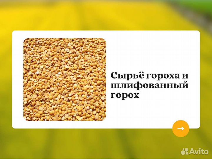Горох с поля (сырье) (кг)