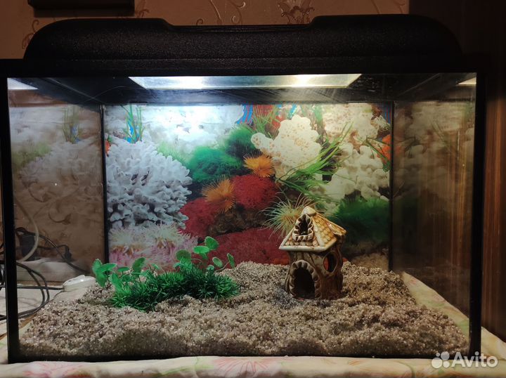 Аквариум на 60 литров