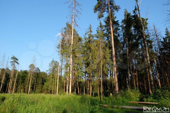 Участок 6,38 га (СНТ, ДНП)