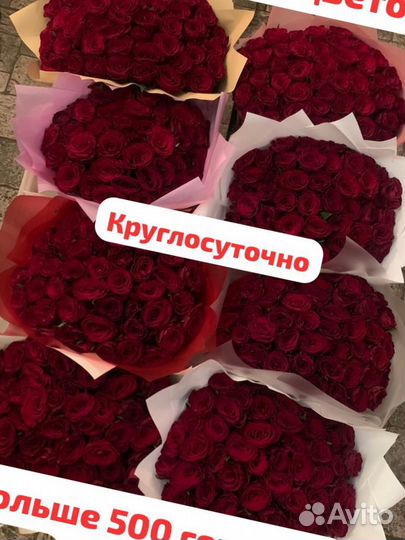 Розы 25/51/101 Череповец