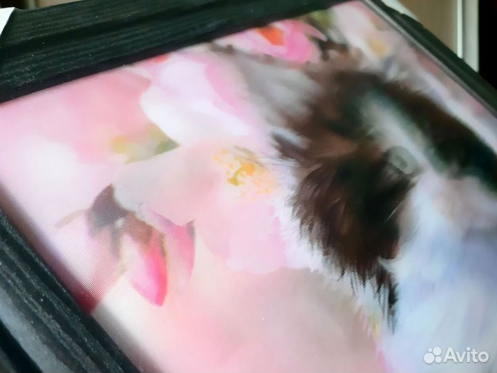 Новая 3D картина в раме кот котенок кошка 35 х 45