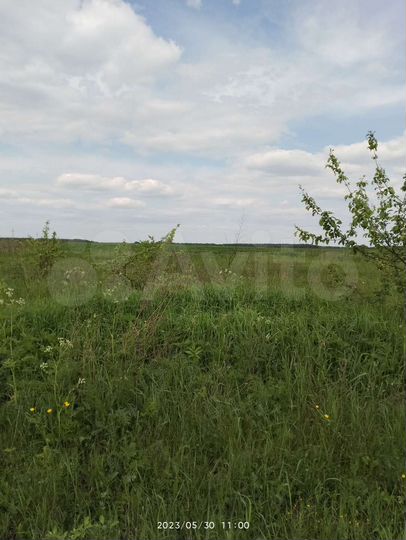 Участок 62 сот. (ИЖС)