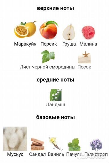 Кирке 5 мл