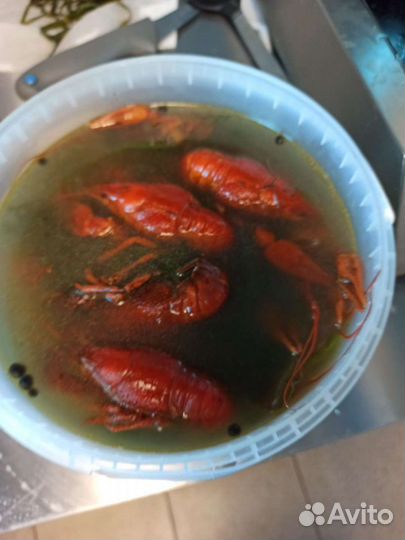 Раки оптом и в розницу