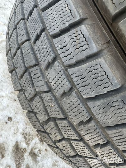 Dunlop Winter Maxx 195/65 R15