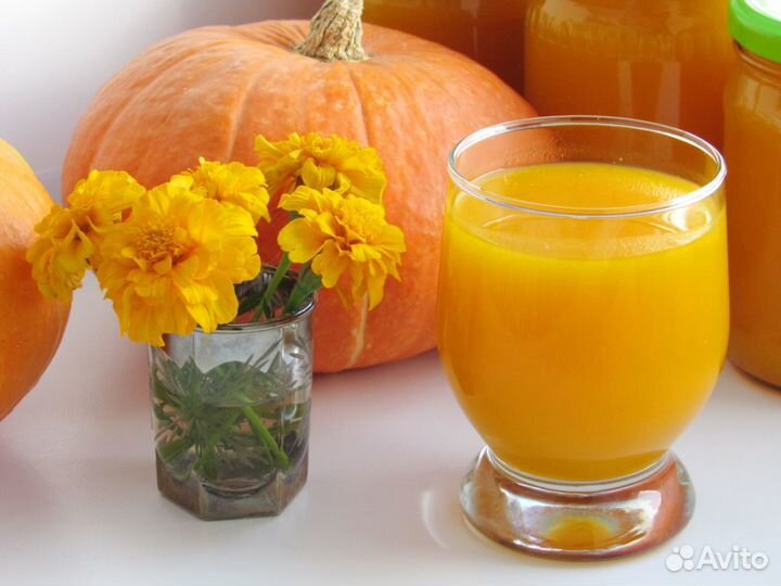 Доля в бизнесе. Переработка тыквы от 50 годовых