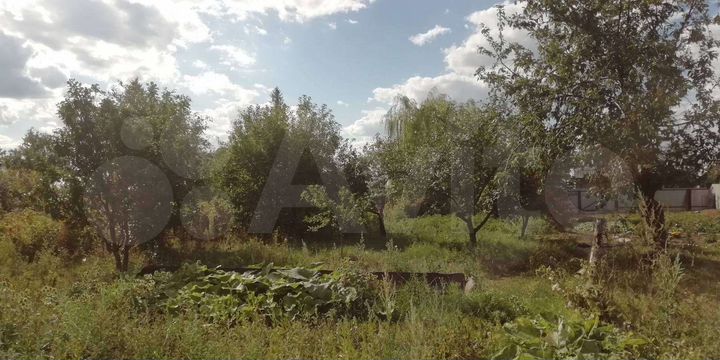 Участок 25 сот. (ИЖС)