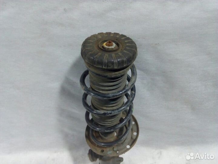 Амортизатор передний Chevrolet Cobalt T250 L2C