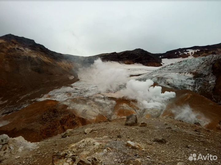 Тур путевка на Камчатку летом 5-9 дн