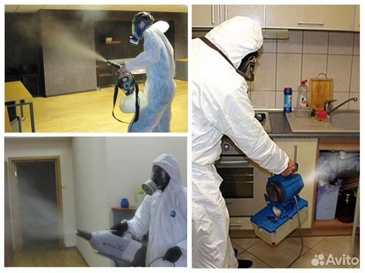 Уничтожение клопов тараканов блох муравьев клещей