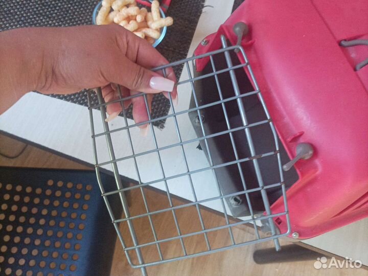 Переноска пластиковая прочная