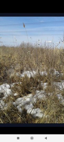 Участок 8 сот. (СНТ, ДНП)