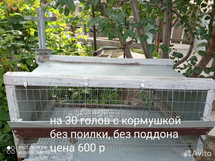 Клетка для перепелов б/у