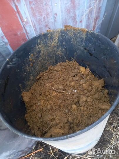 Коровяк навоз жидкий