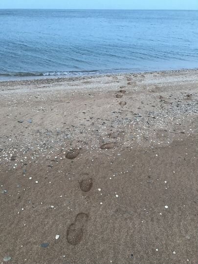 Участок 7 сот. (ИЖС)