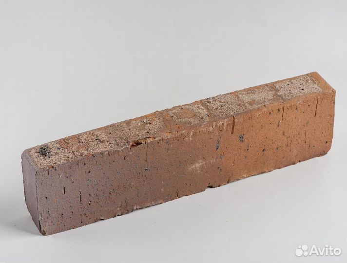 Ригель 35 сорт