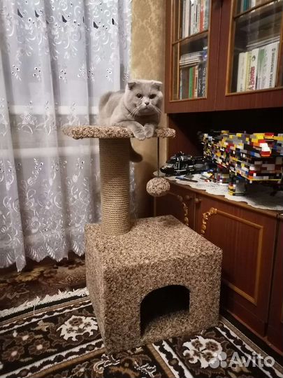 Домик - когтеточка новый