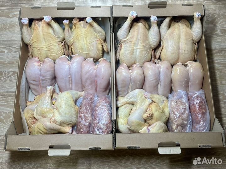 Набор домашняя курочка + разлелка