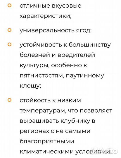 Клубника Мурано