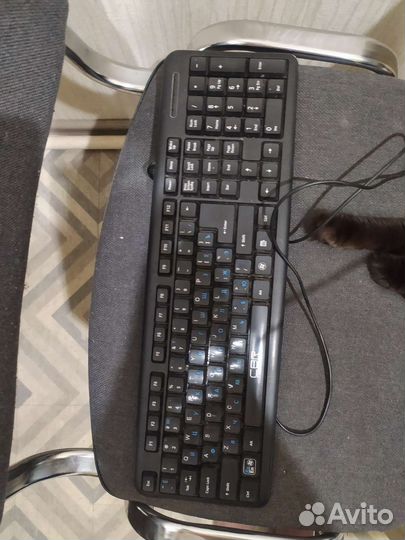 Клавиатура CBR и Мышь Logitech B110