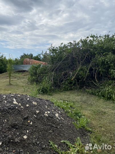 Покос травы триммером, вырубка деревьев