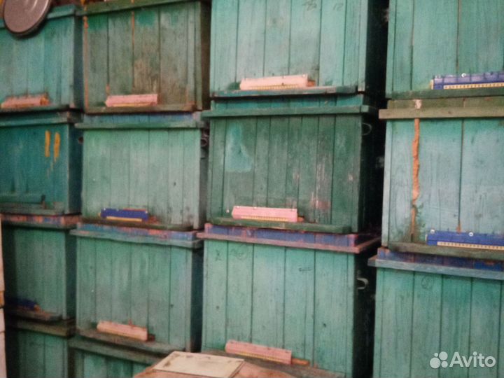 Продам ульи для пчел