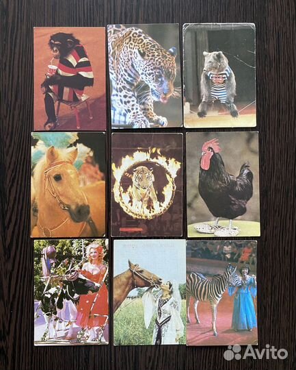 Календари карманные СССР, серия Цирк