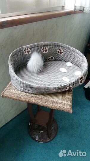 Кошачьи принадлежности