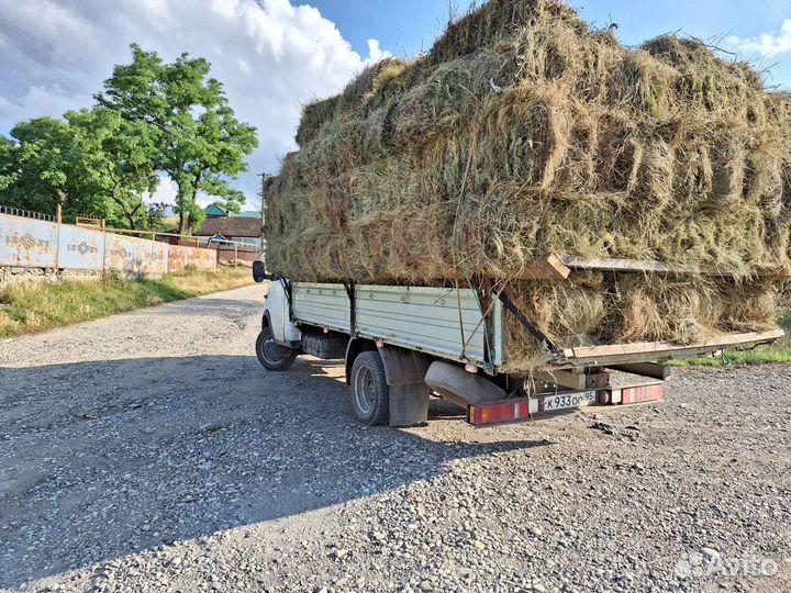 Сено солома люцерна в тюках