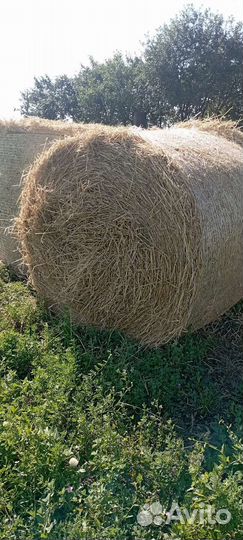 Солома в рулонах