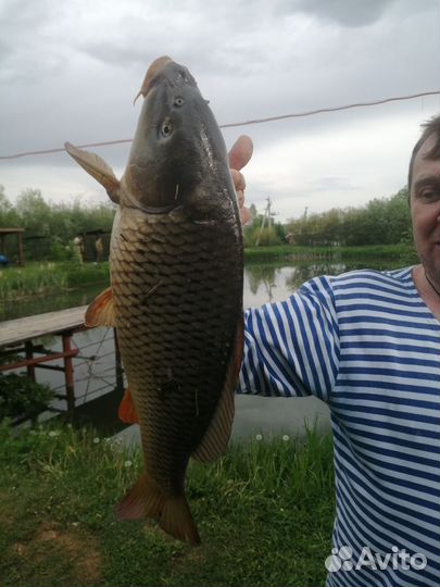 Рыбалка, семейный отдых, проживание