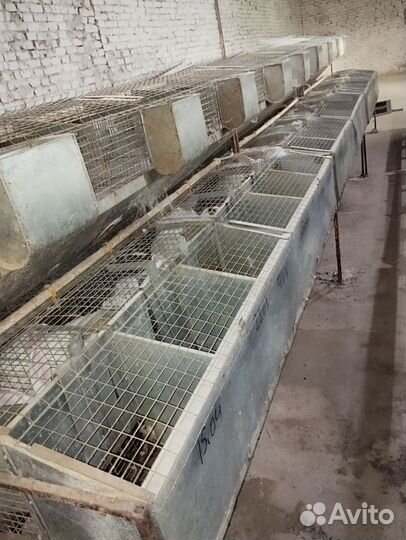 Клетки для кроликов
