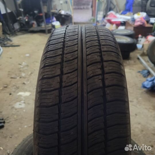 Nankang AR-1 175/65 R14