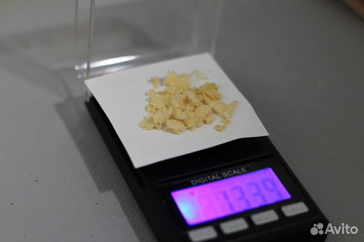 Инсектарий для разведения мухи черная львинка