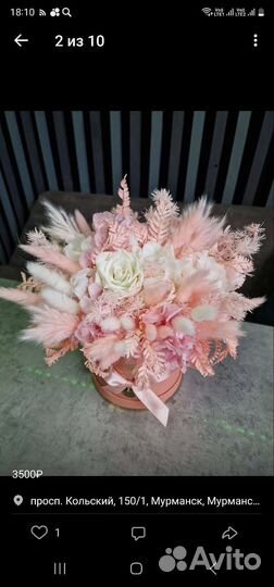 Сухоцветы цветы