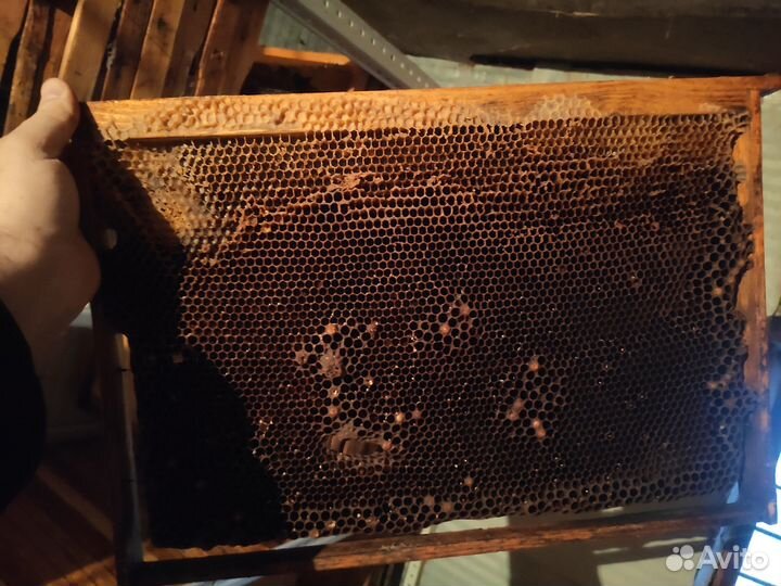 Рамки, сушь, вощина, подушки, холстики