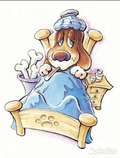 Ветеринарный врач на дом