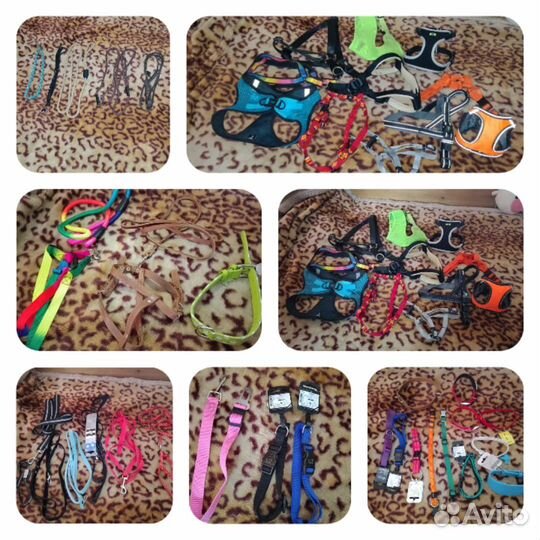 Одежда для собак мелких пород