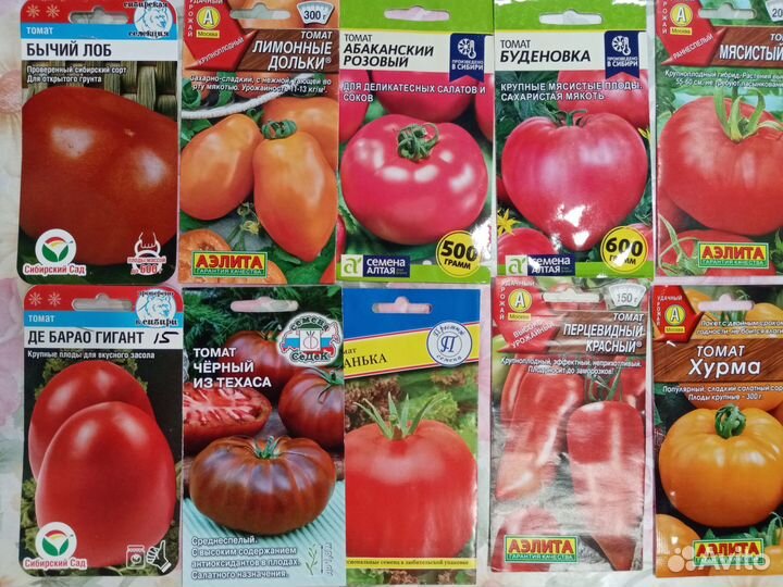 Рассада томатов и перцев