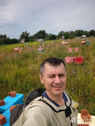 Свежий мед 2023