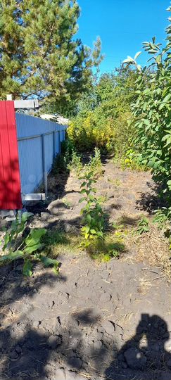 Участок 10 сот. (СНТ, ДНП)