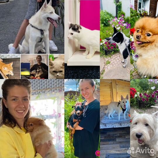 Зоогостиница, передержка животных