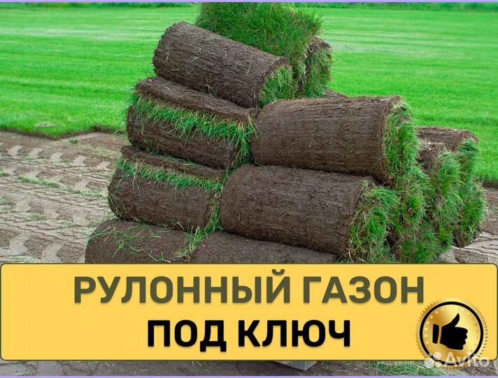 Рулонный газон с укладкой спортивный