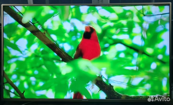 Телевизор (50 дюймов) 4K SMART TV