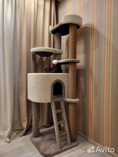 Когтеточки и домики для животных 