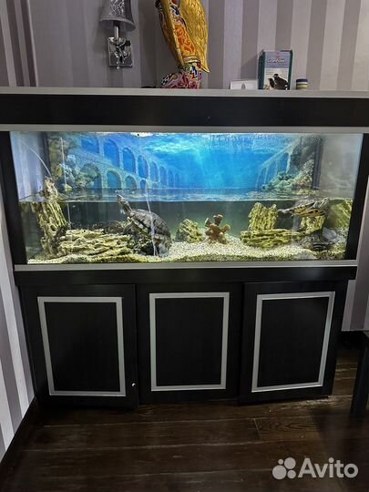Аквариум