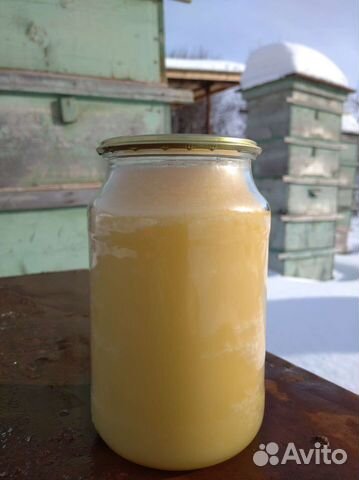 Мёд лесной 2023 года