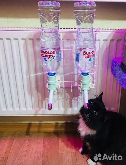 Поилка для собак, кошек и грызунов