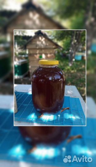 Ваш любимый мёд из детства. Круглогодично